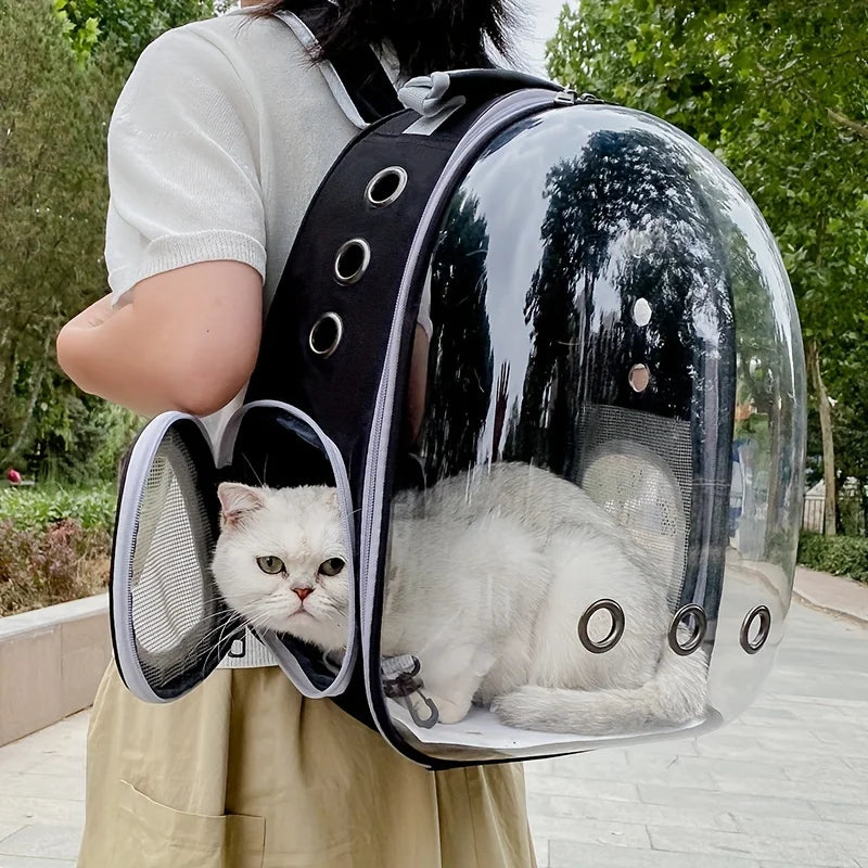 Clear Cat Backpack