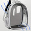 Clear Cat Backpack
